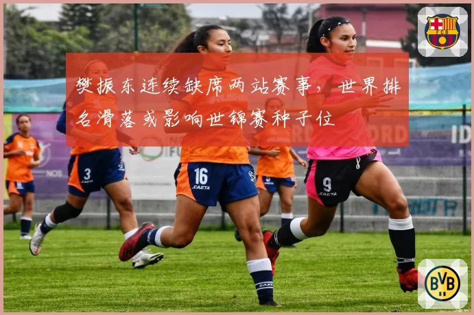 樊振东连续缺席两站赛事，世界排名滑落或影响世锦赛种子位