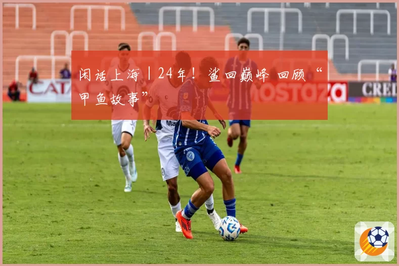 闲话上海|24年!鲨回巅峰 回顾“甲鱼故事”